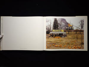 Joel Sternfeld: American Prospects