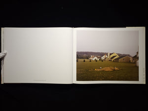 Joel Sternfeld: American Prospects