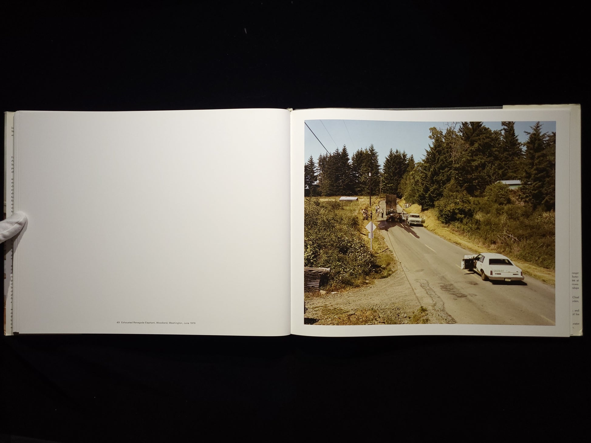 Joel Sternfeld: American Prospects