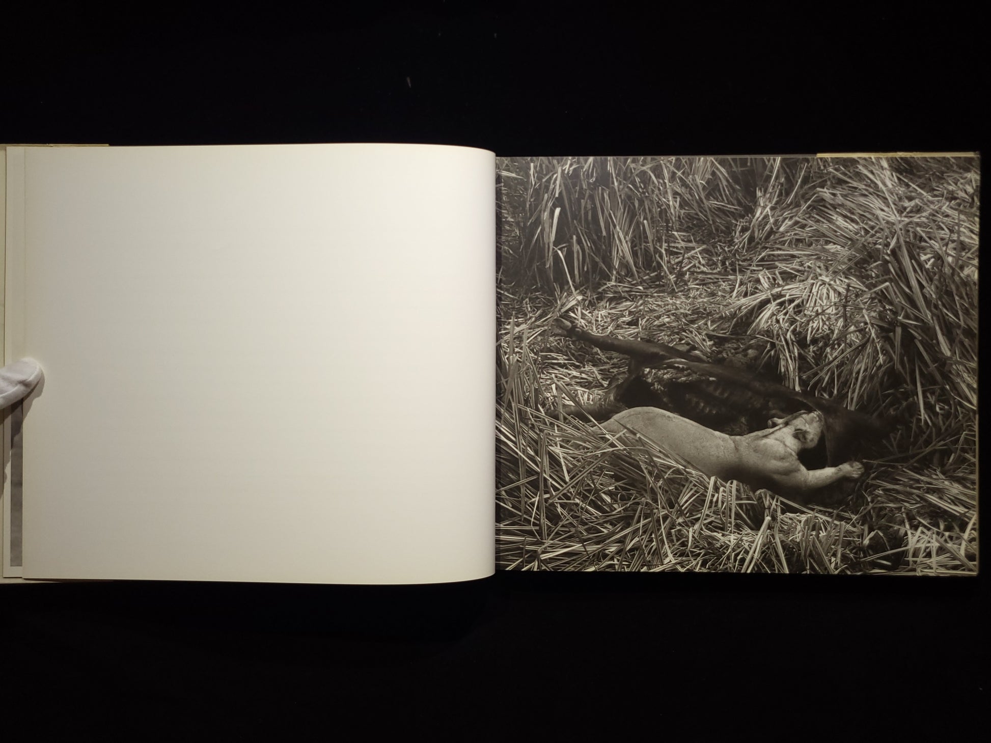 Africa / Herb Ritts