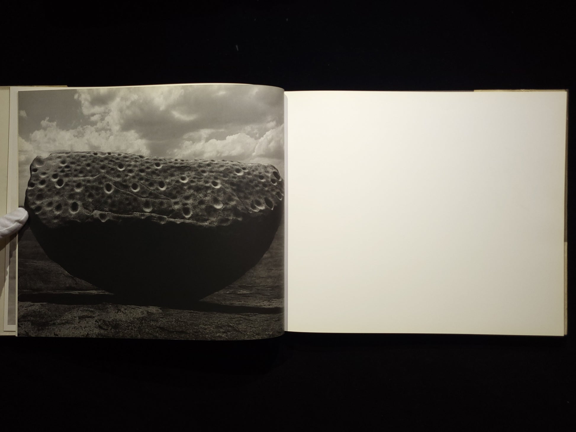 Africa / Herb Ritts
