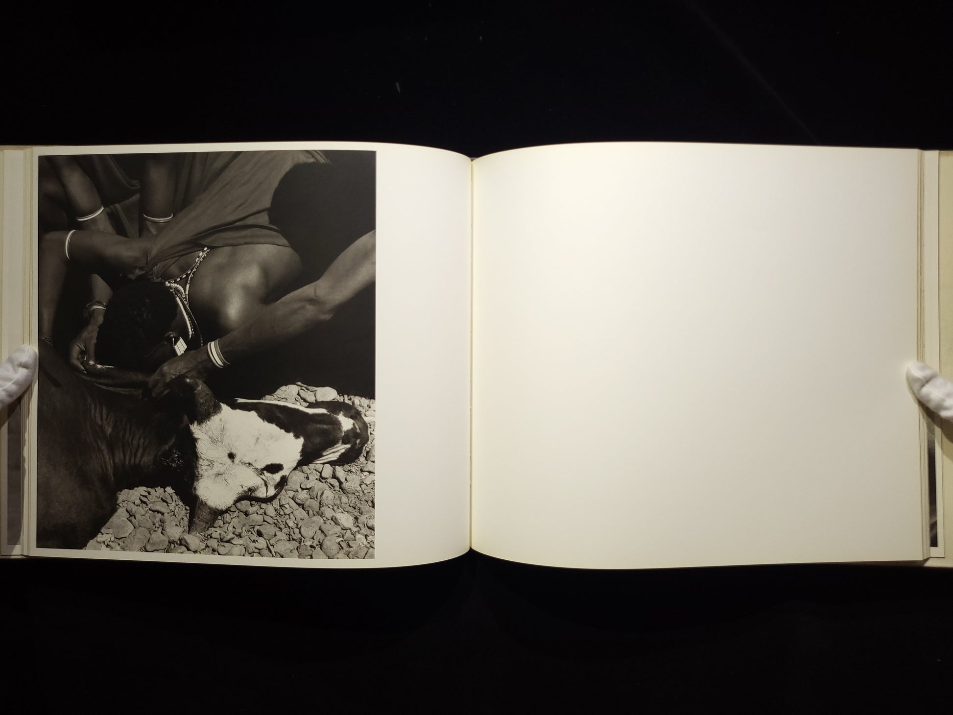 Africa / Herb Ritts