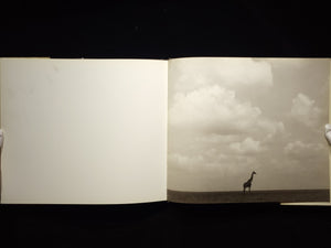 Africa / Herb Ritts
