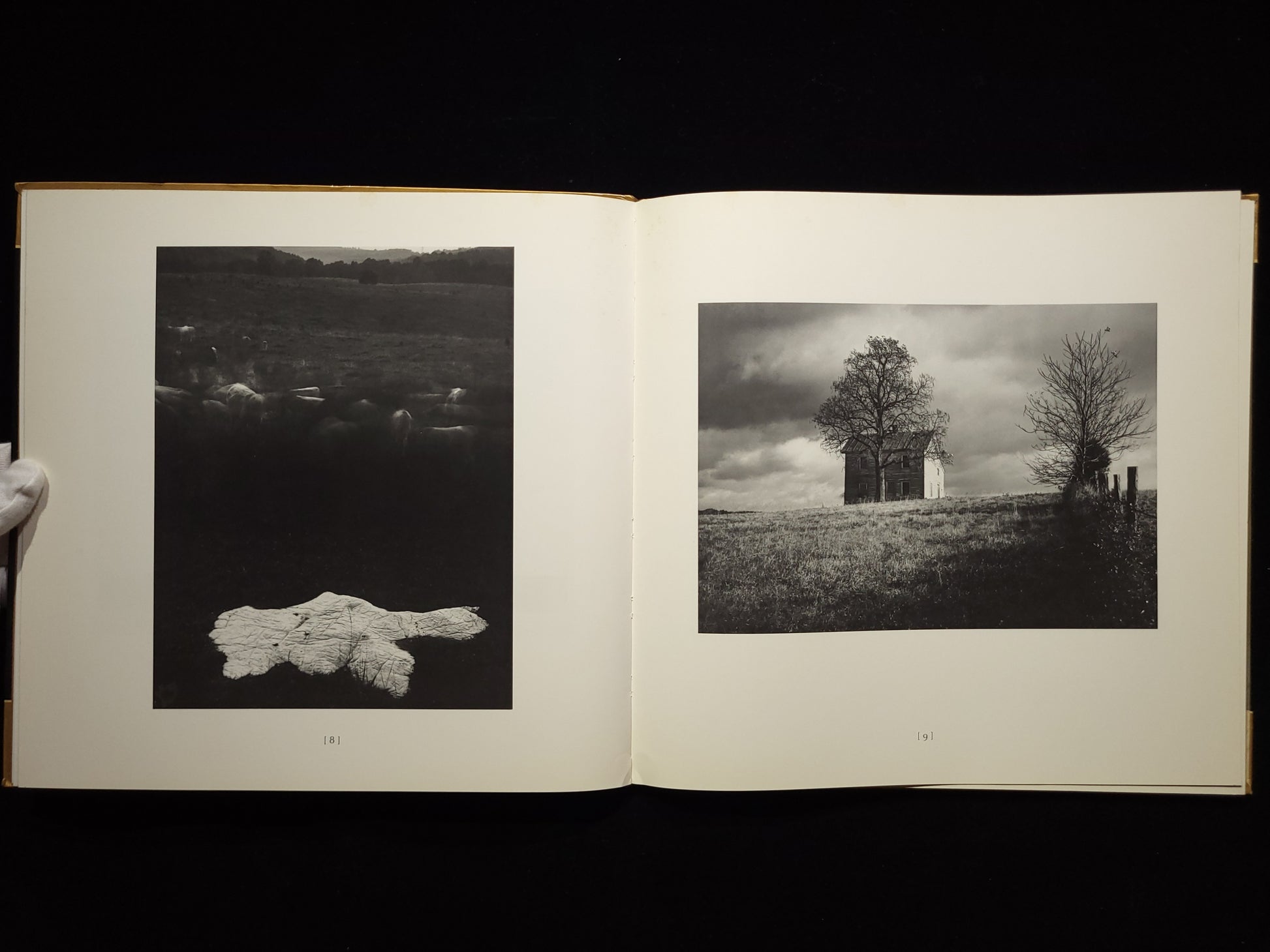 Second Sight / Sally Mann