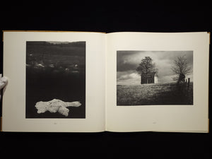 Second Sight / Sally Mann