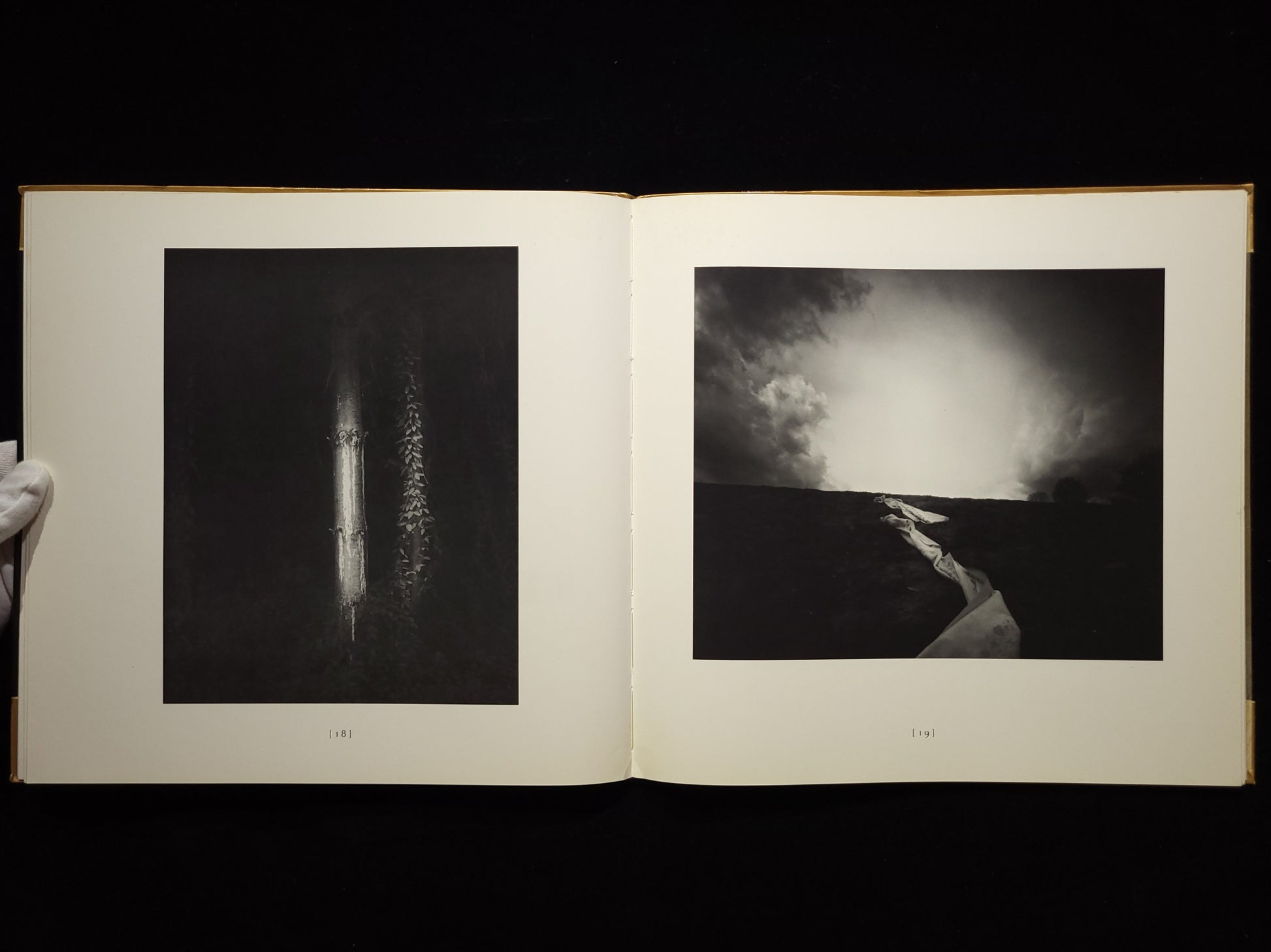 Second Sight / Sally Mann