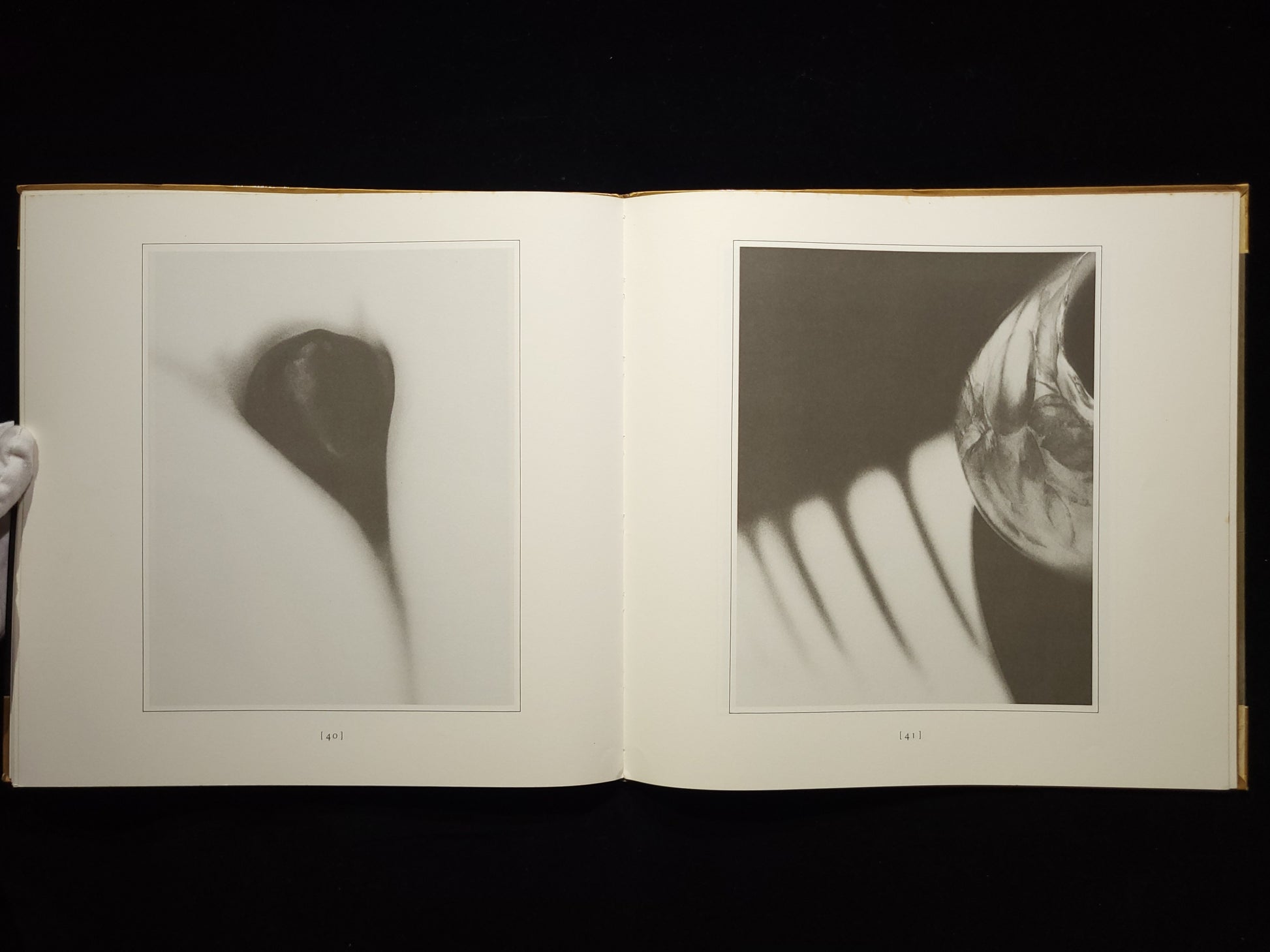 Second Sight / Sally Mann