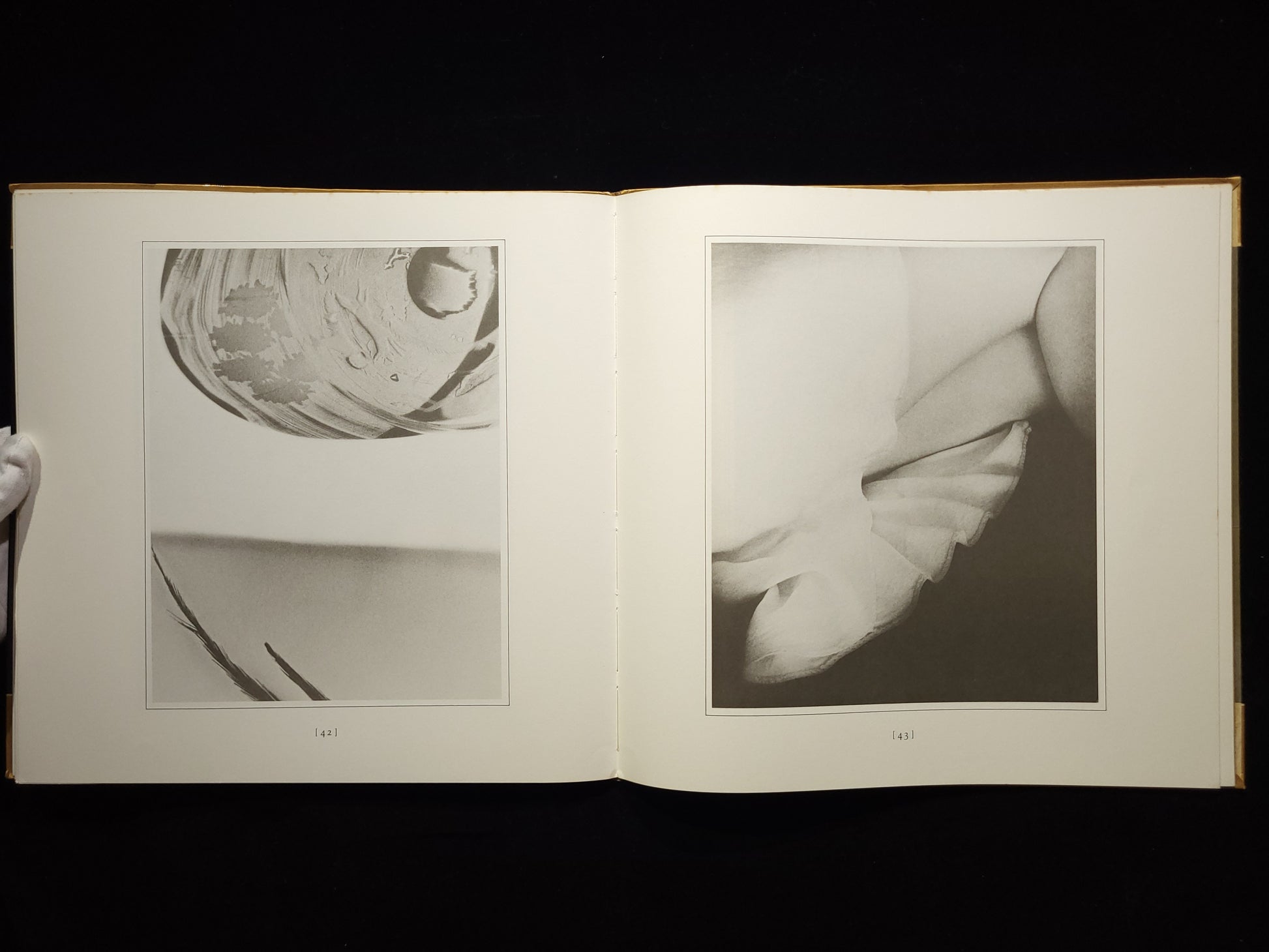 Second Sight / Sally Mann