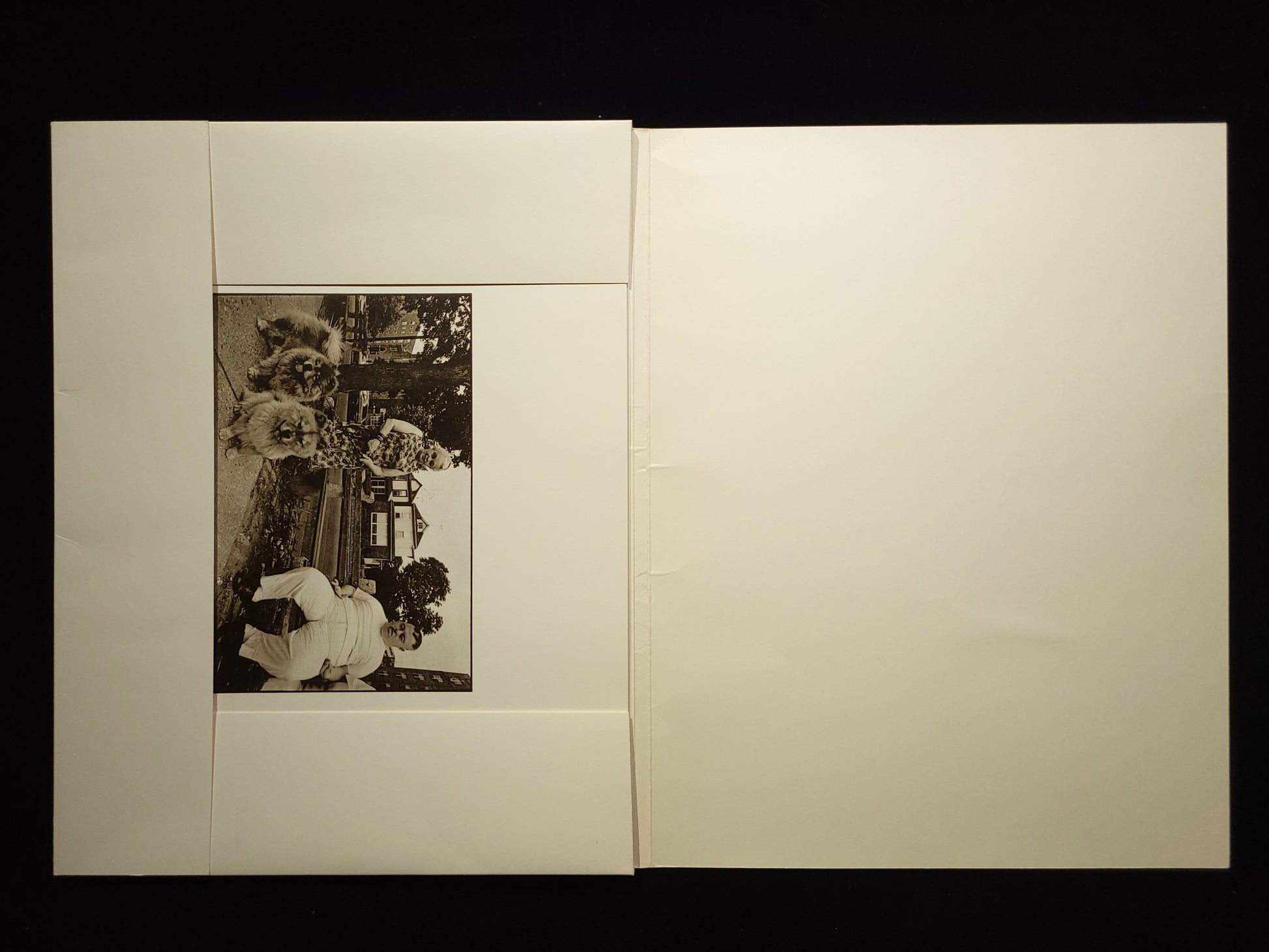 Eight Photographs / Leslie Krims 