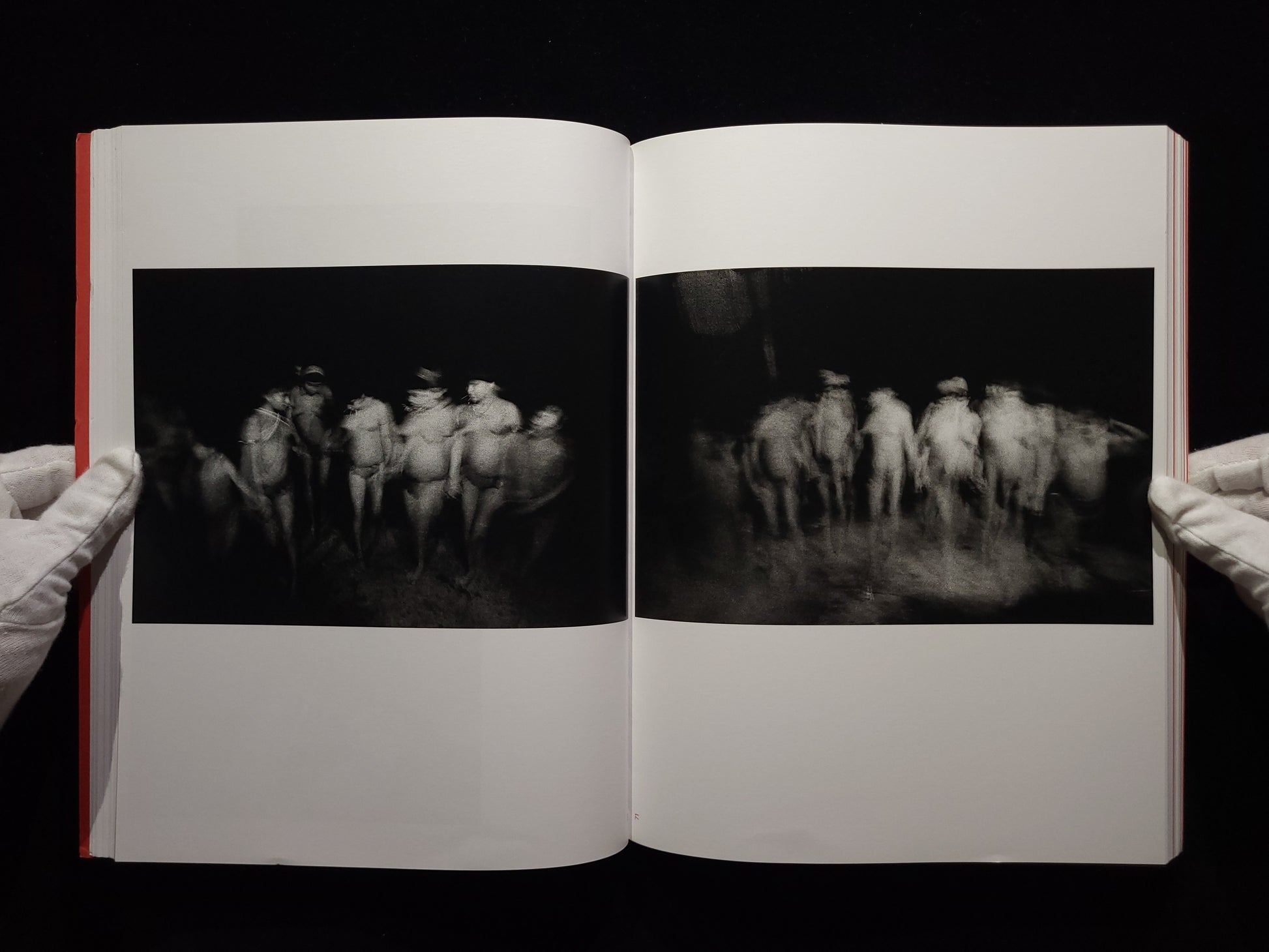 The Yanomami Struggle / Claudia Andujar 