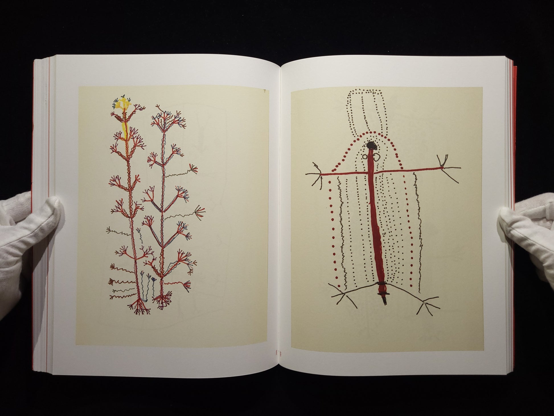 The Yanomami Struggle / Claudia Andujar 