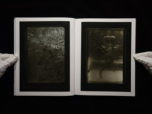 The Window of My Studio / Josef Sudek