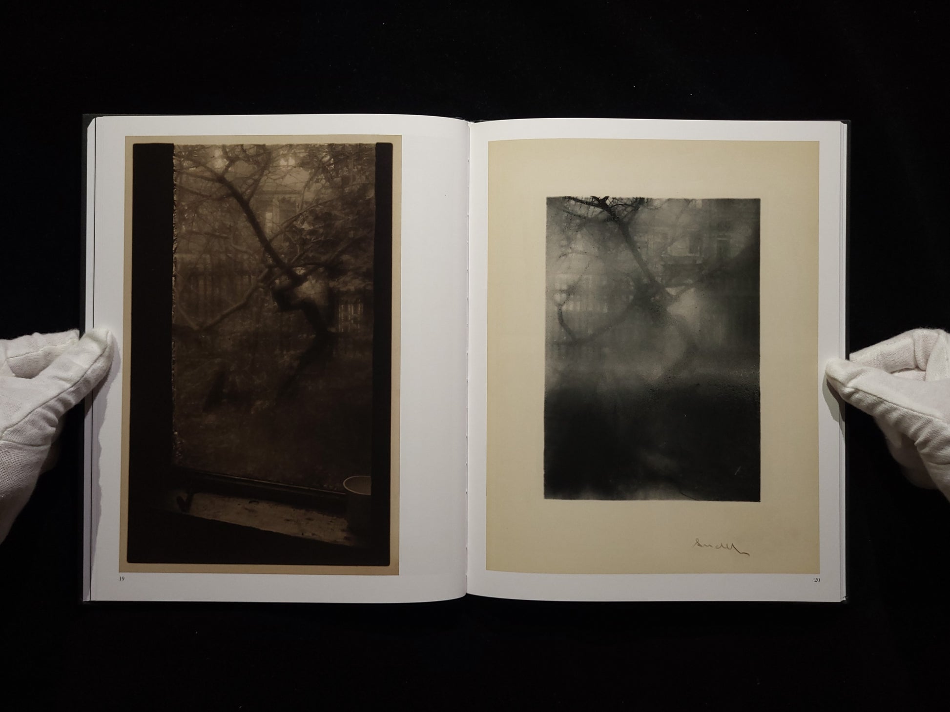 The Window of My Studio / Josef Sudek