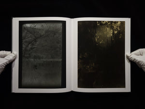 The Window of My Studio / Josef Sudek