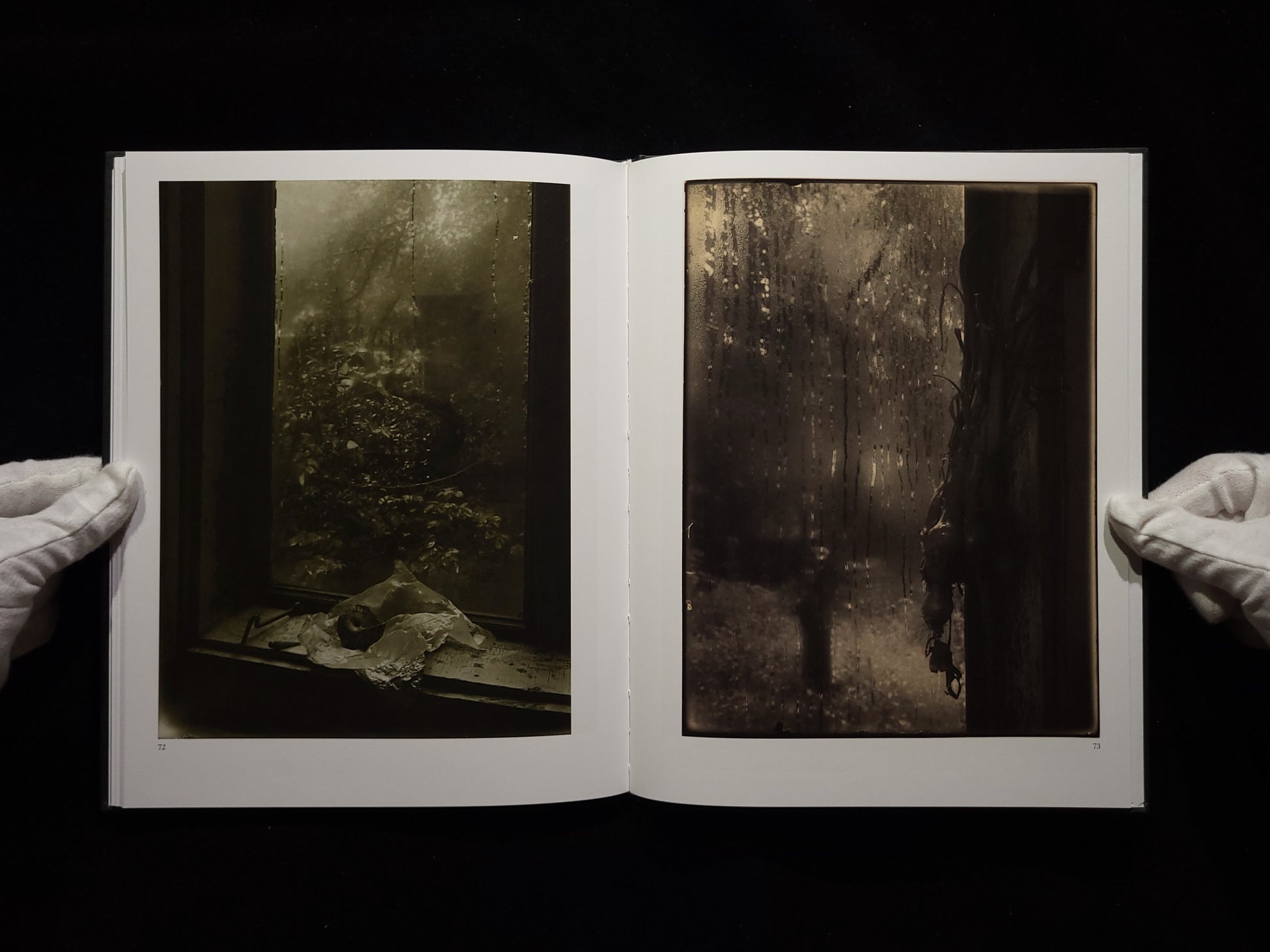 The Window of My Studio / Josef Sudek