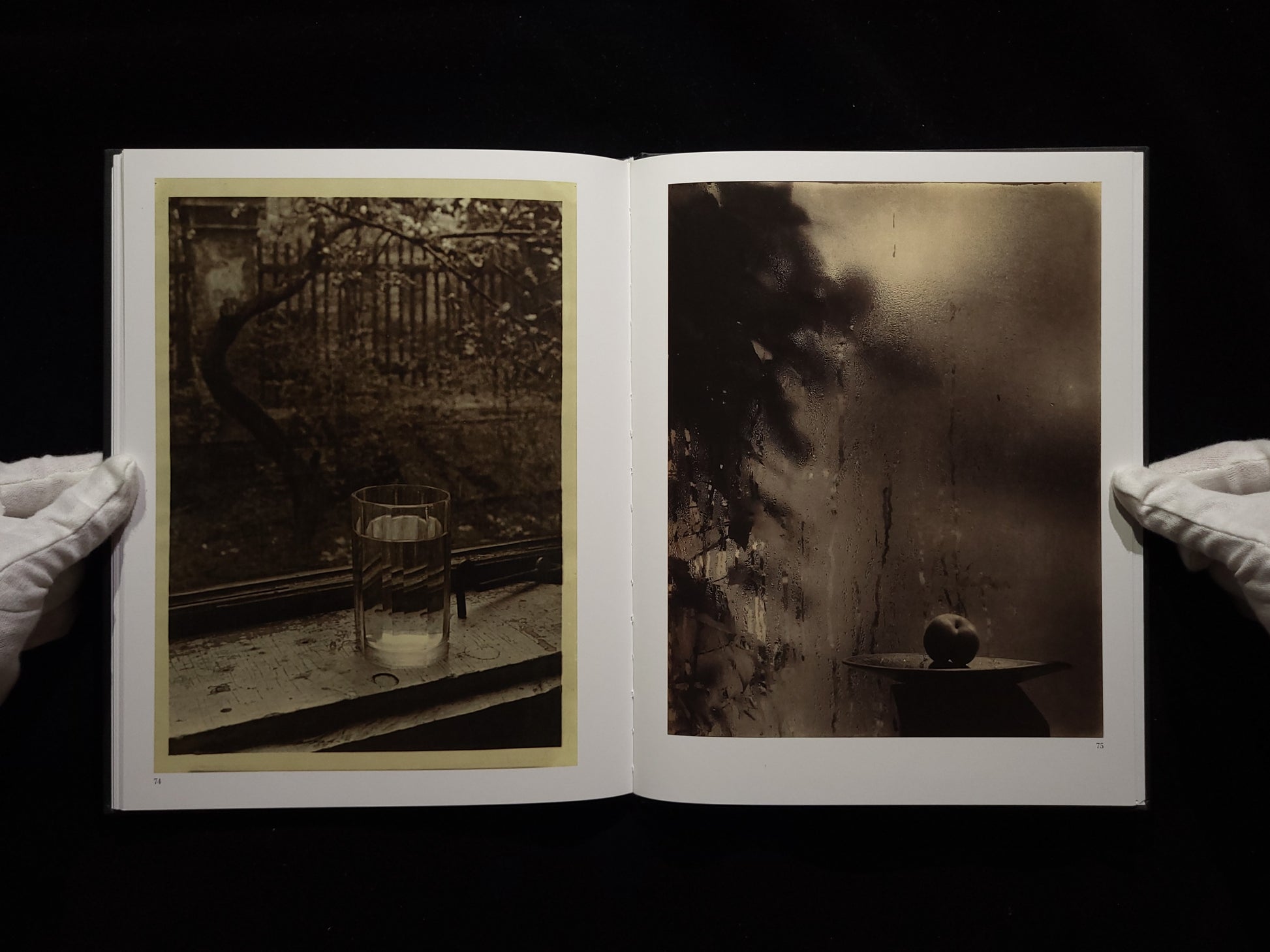 The Window of My Studio / Josef Sudek