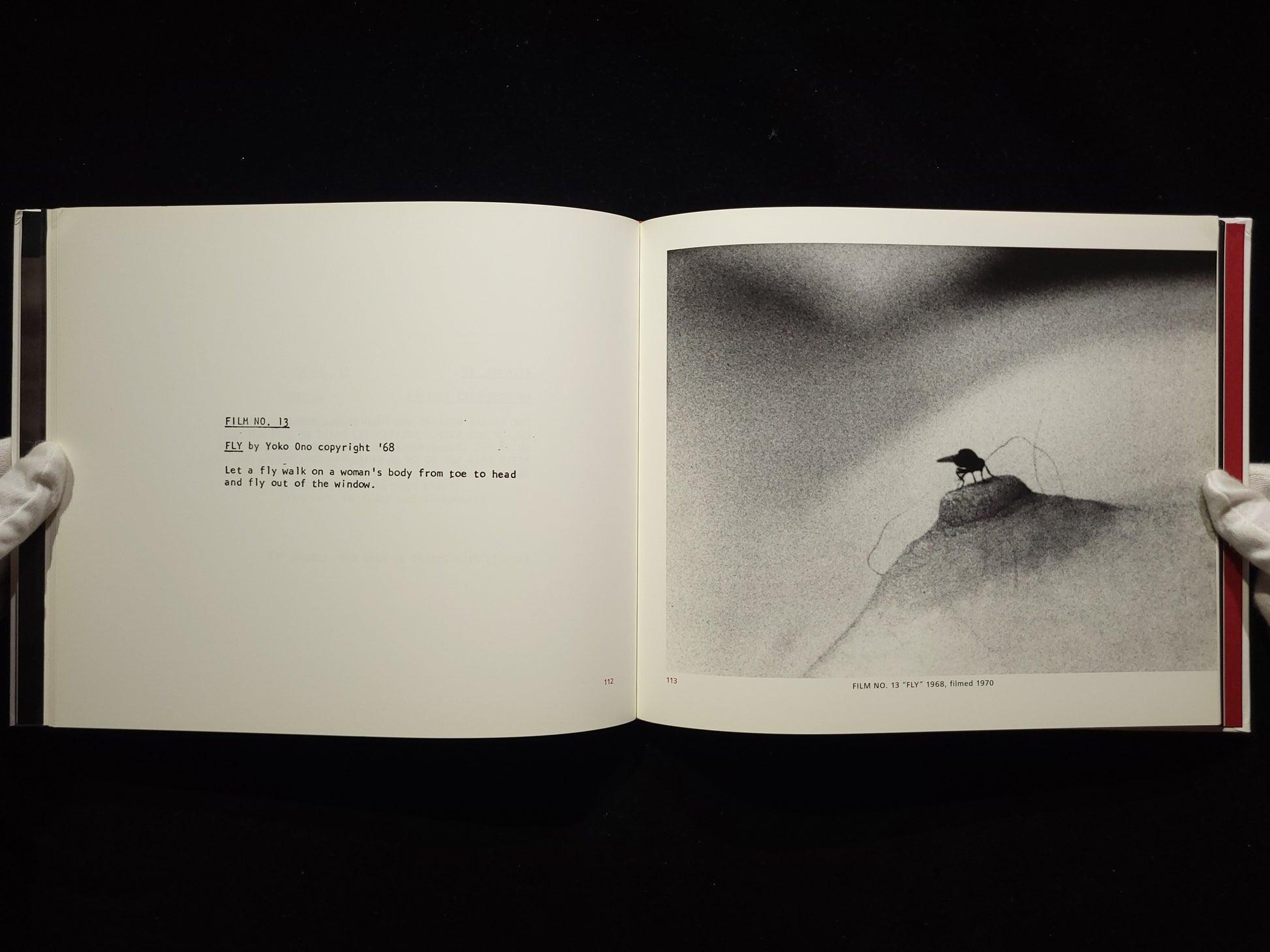 Yoko Ono Conceptual Photography