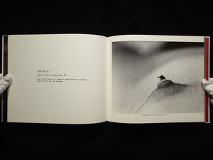 Yoko Ono Conceptual Photography