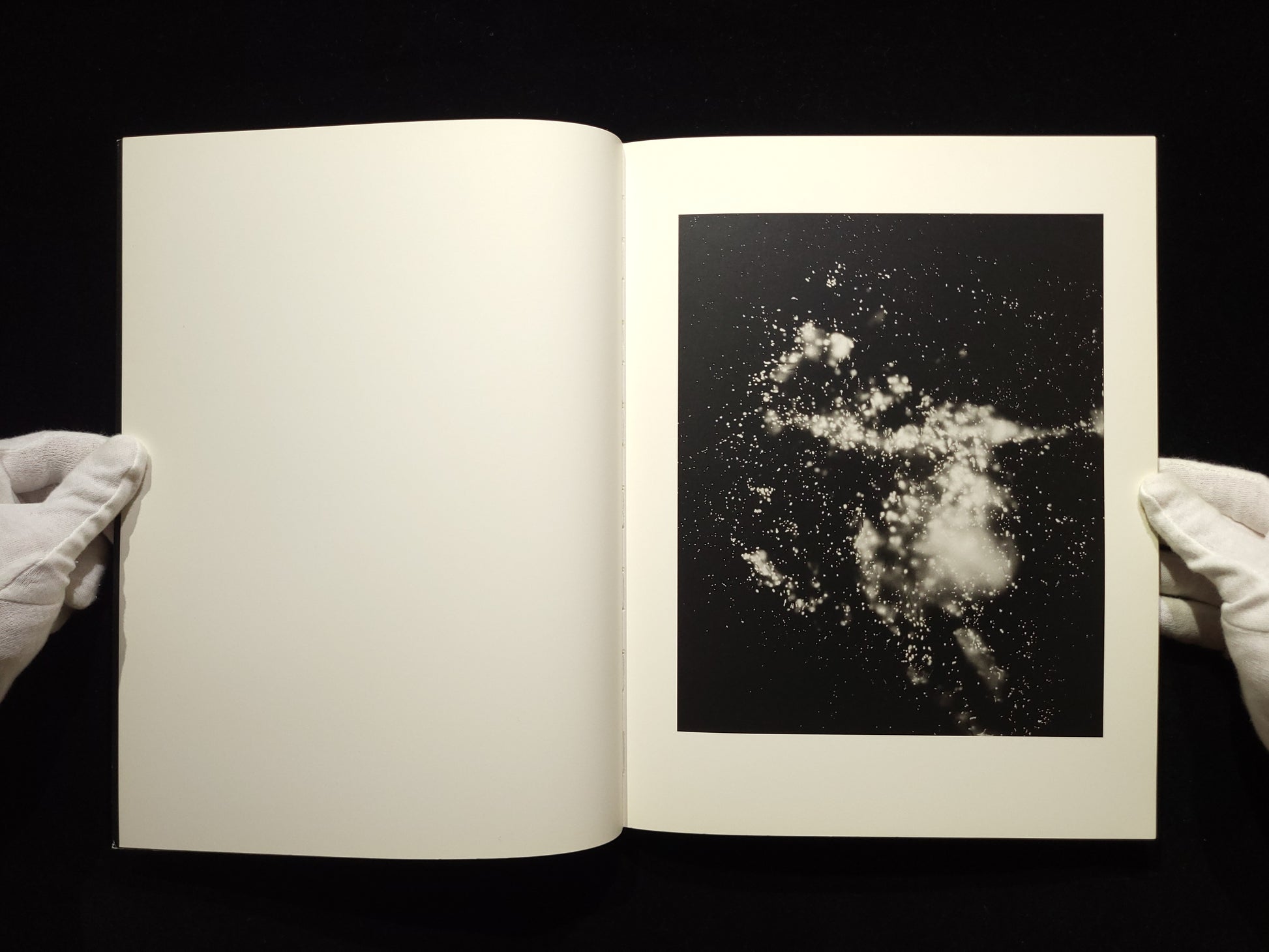 Light of Other Days / Taiyo Onorato & Nico Krebs