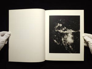 Light of Other Days / Taiyo Onorato & Nico Krebs