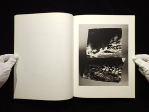 Light of Other Days / Taiyo Onorato & Nico Krebs