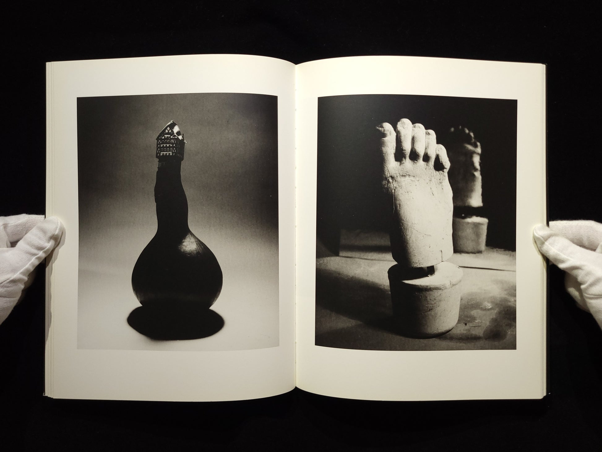 Light of Other Days / Taiyo Onorato & Nico Krebs