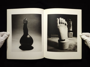 Light of Other Days / Taiyo Onorato & Nico Krebs