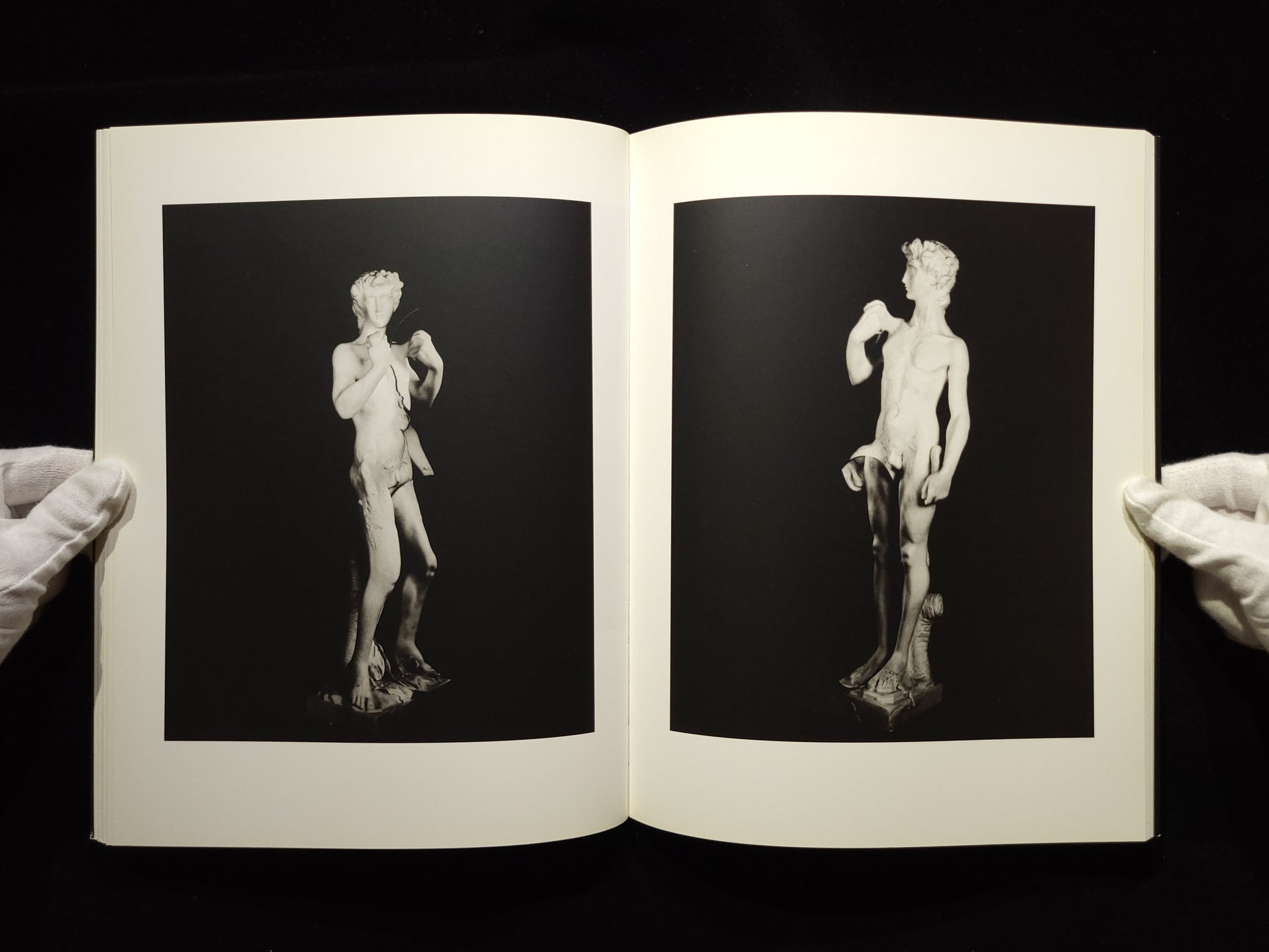 Light of Other Days / Taiyo Onorato & Nico Krebs