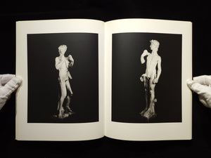 Light of Other Days / Taiyo Onorato & Nico Krebs