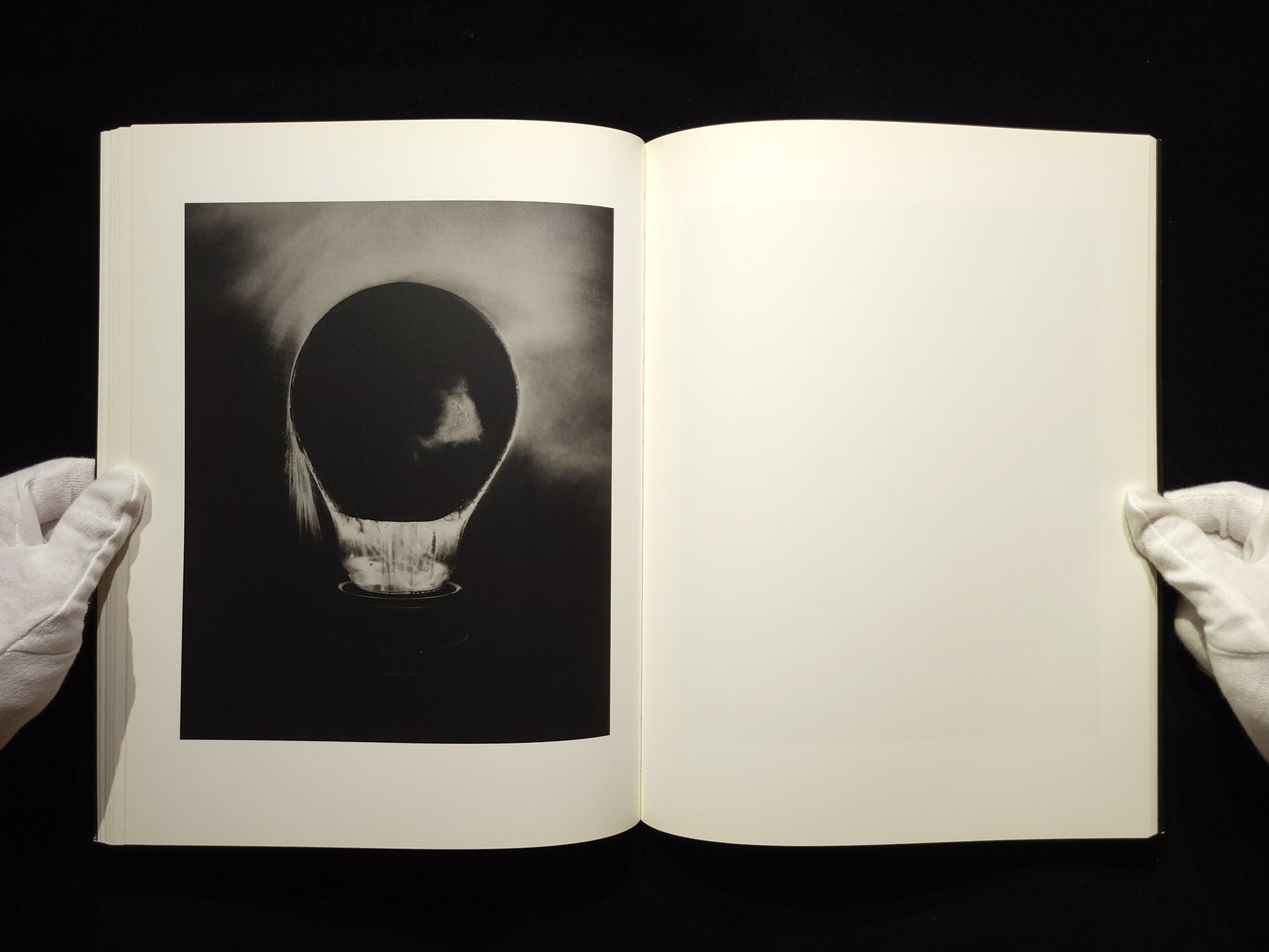 Light of Other Days / Taiyo Onorato & Nico Krebs