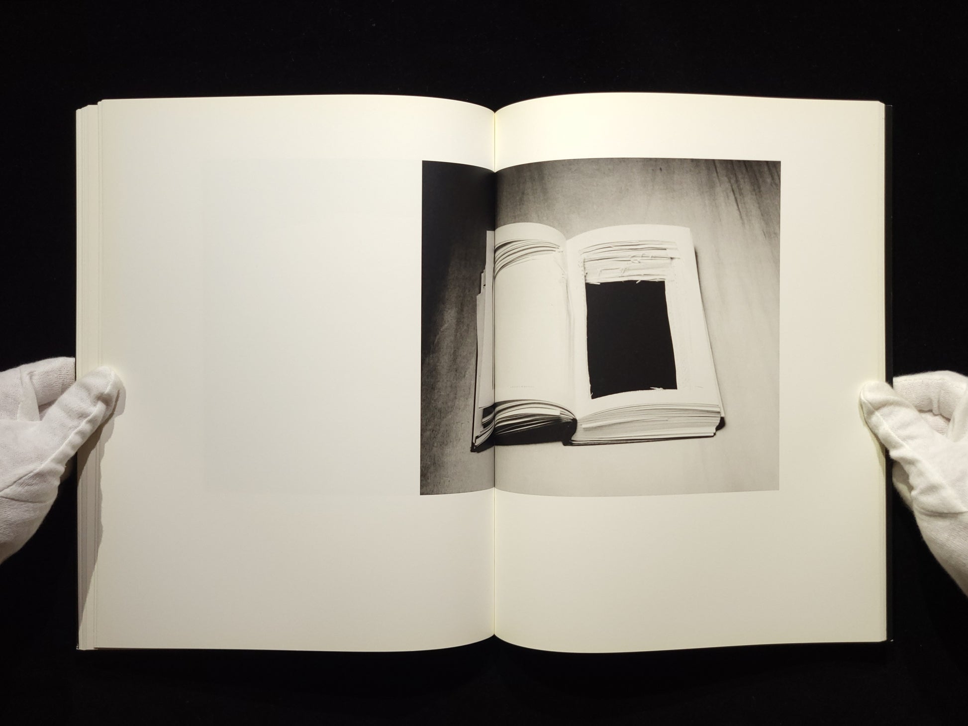 Light of Other Days / Taiyo Onorato & Nico Krebs