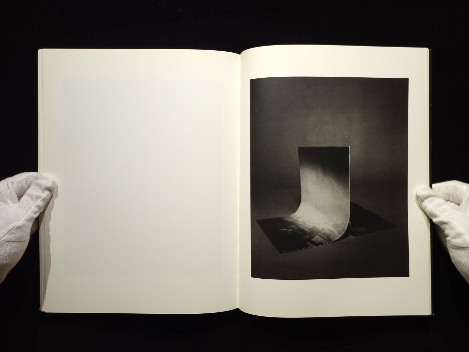 Light of Other Days / Taiyo Onorato & Nico Krebs