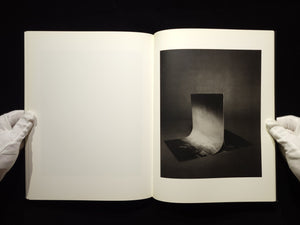 Light of Other Days / Taiyo Onorato & Nico Krebs