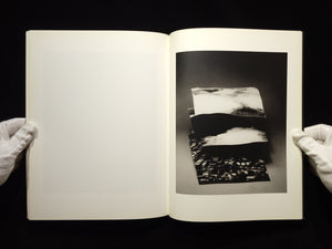Light of Other Days / Taiyo Onorato & Nico Krebs