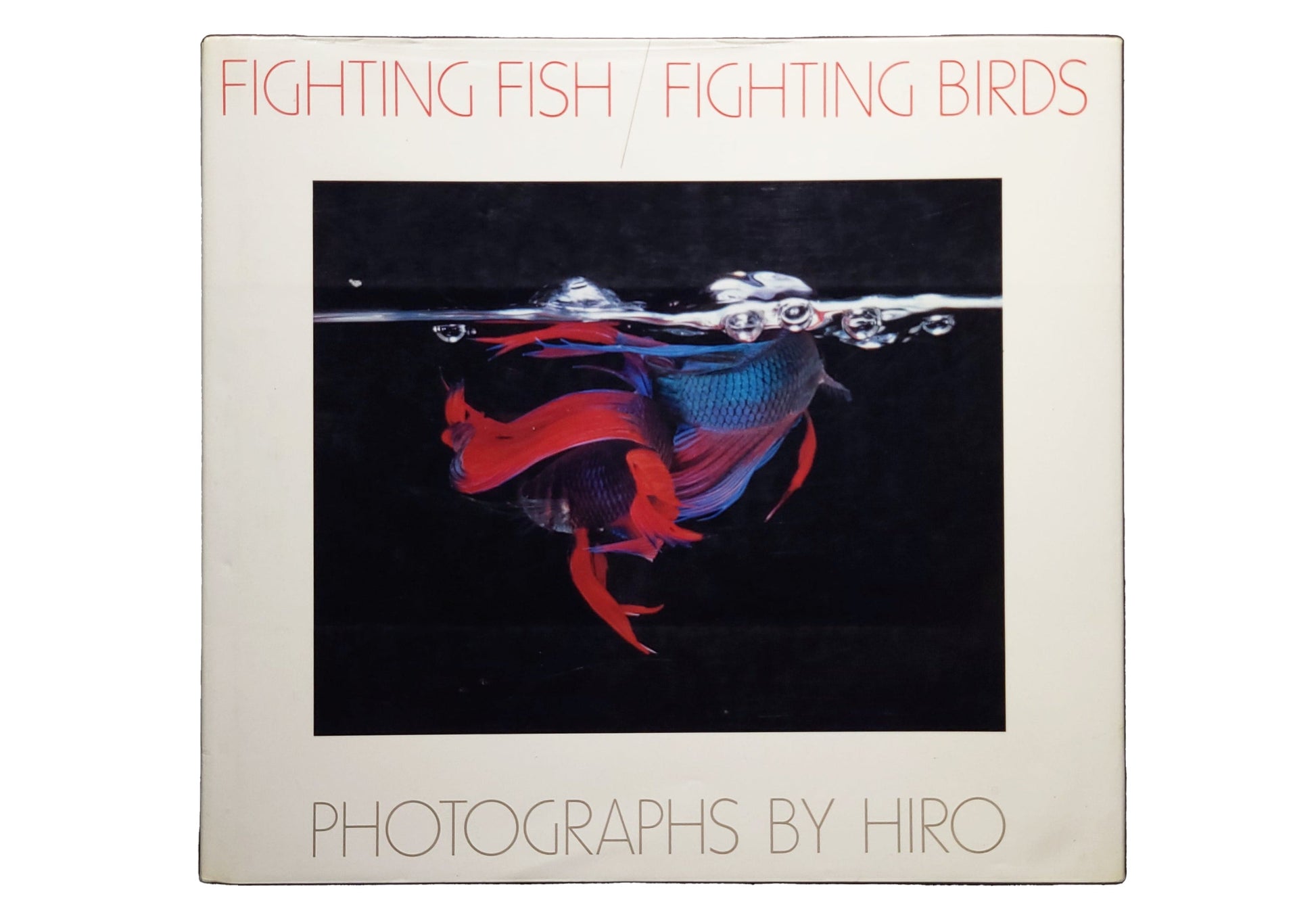 Fighting Fish/ Fighting Birds / Hiro