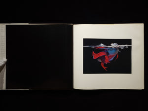 Fighting Fish/ Fighting Birds / Hiro