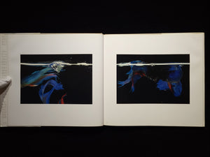 Fighting Fish/ Fighting Birds / Hiro