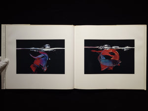 Fighting Fish/ Fighting Birds / Hiro