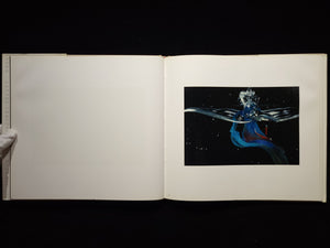 Fighting Fish/ Fighting Birds / Hiro