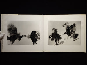 Fighting Fish/ Fighting Birds / Hiro