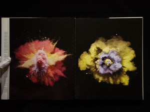 Nick Knight / Harper Collins