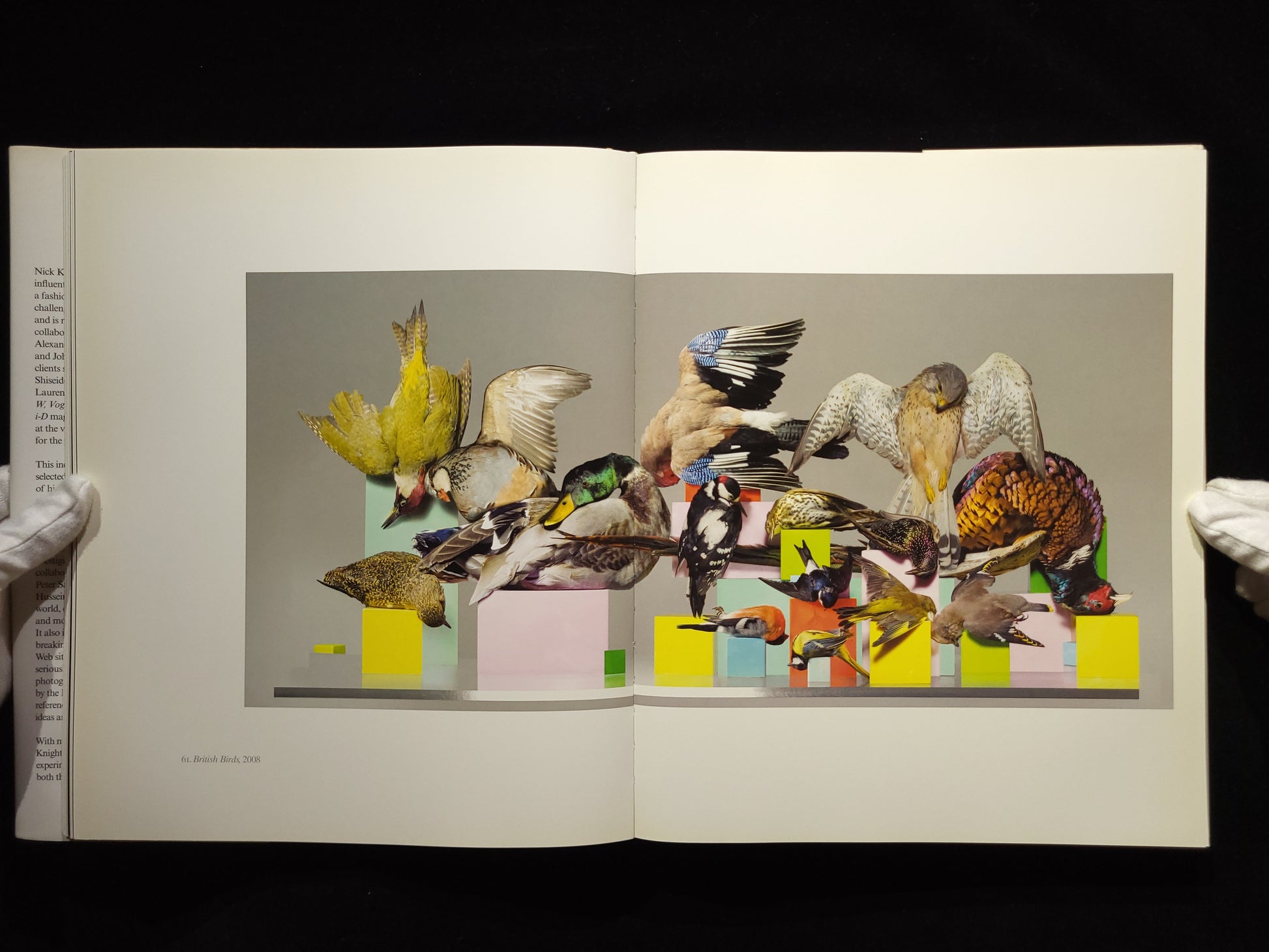 Nick Knight / Harper Collins