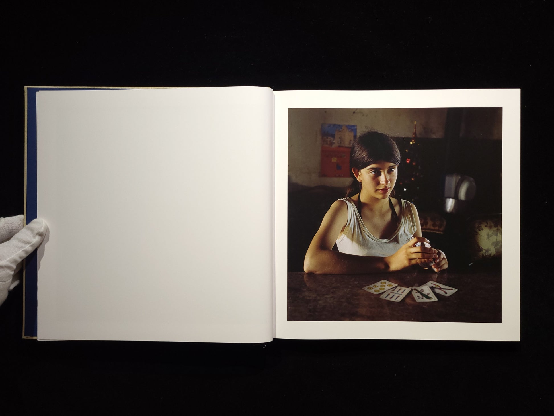 The Adventures of Guille and Belinda and The Illusion of an Everlasting Summer / Alessandra Sanguinetti