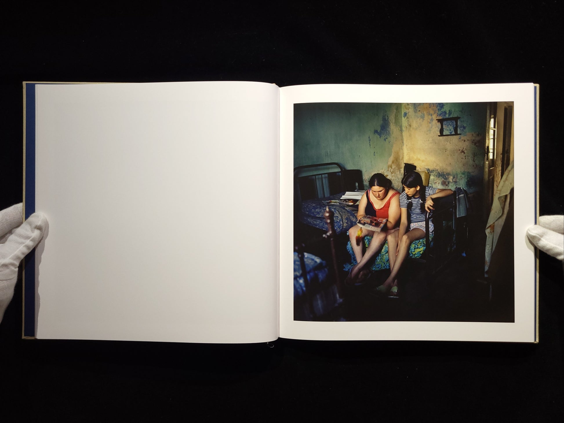 The Adventures of Guille and Belinda and The Illusion of an Everlasting Summer / Alessandra Sanguinetti