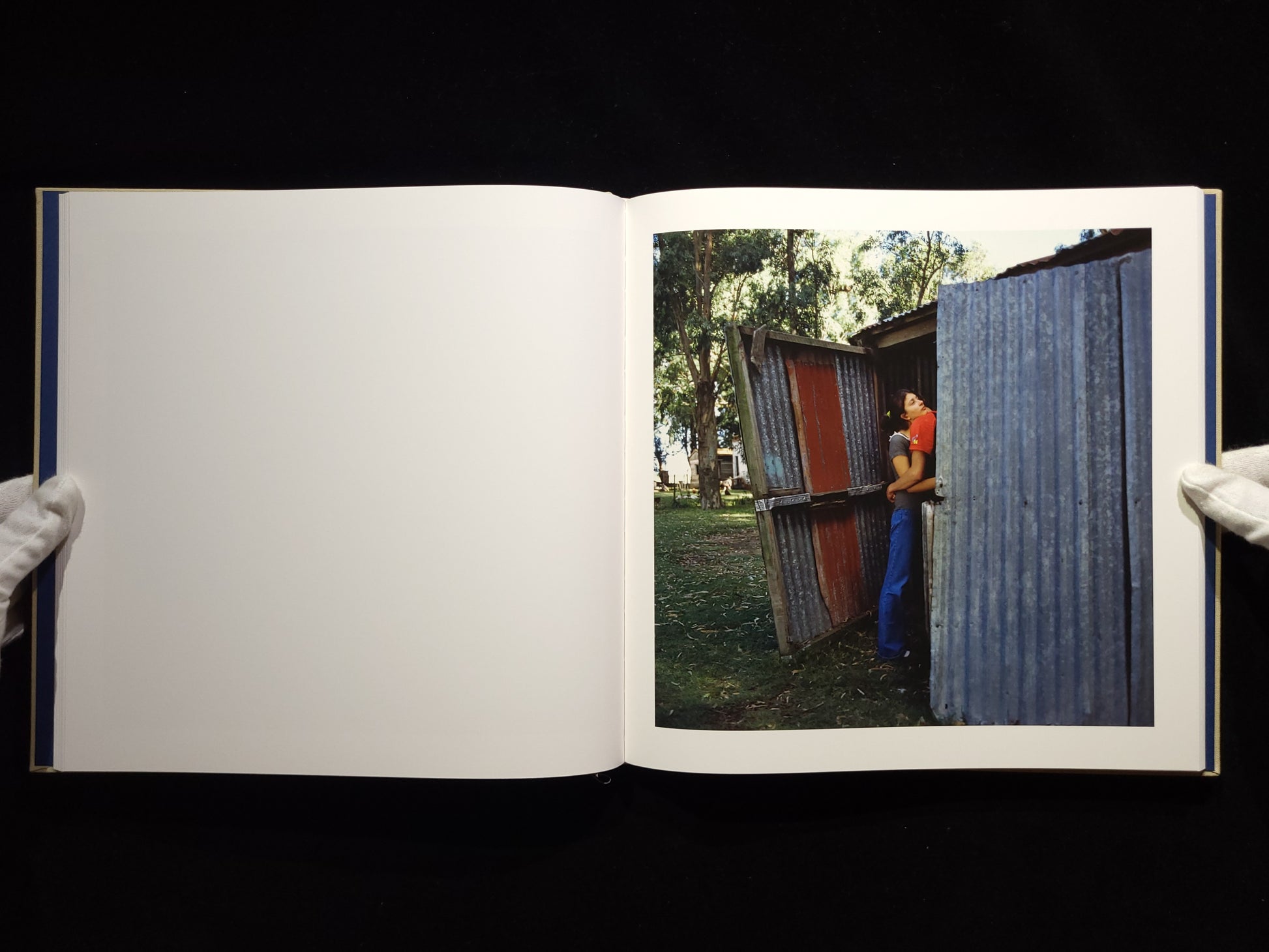 The Adventures of Guille and Belinda and The Illusion of an Everlasting Summer / Alessandra Sanguinetti