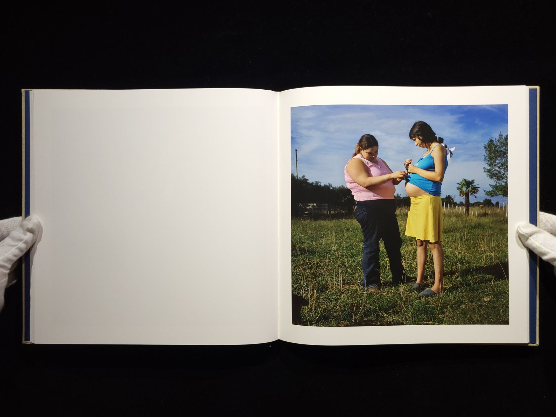 The Adventures of Guille and Belinda and The Illusion of an Everlasting Summer / Alessandra Sanguinetti