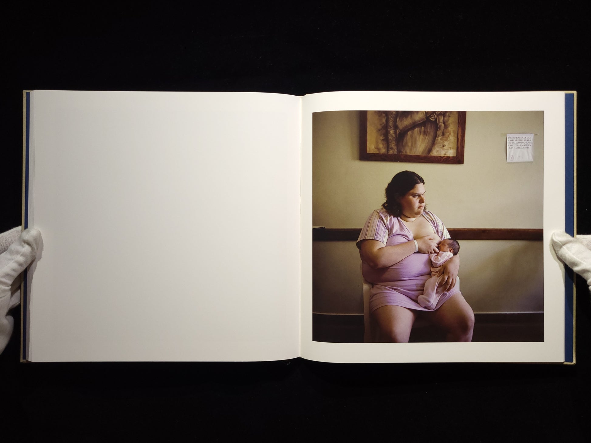 The Adventures of Guille and Belinda and The Illusion of an Everlasting Summer / Alessandra Sanguinetti