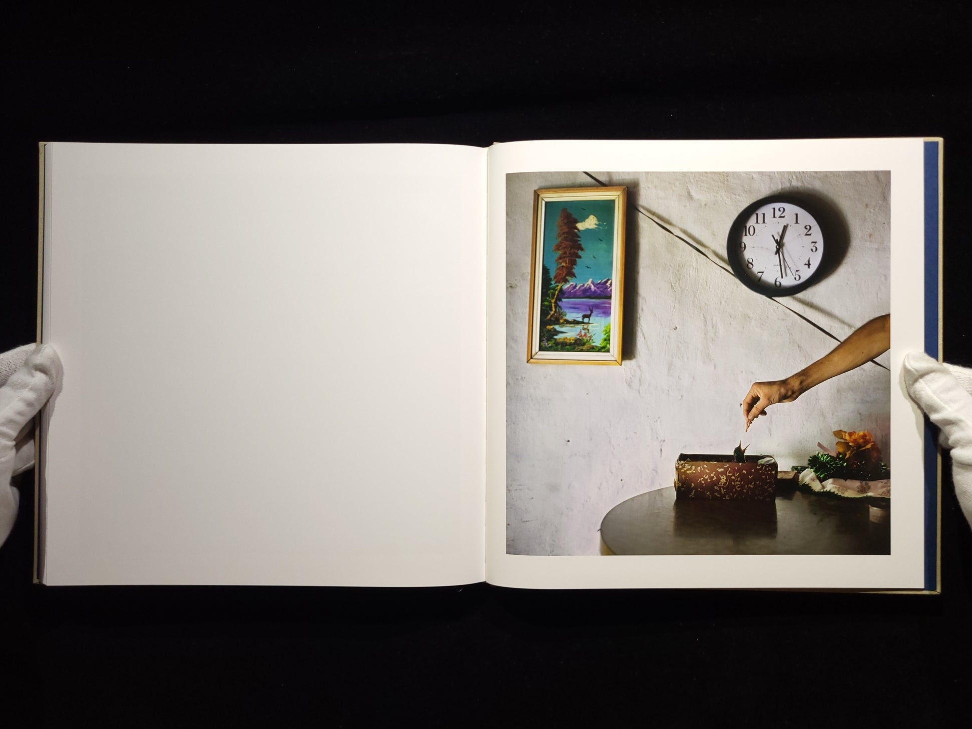 The Adventures of Guille and Belinda and The Illusion of an Everlasting Summer / Alessandra Sanguinetti