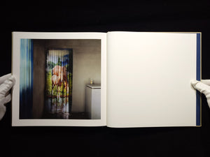 The Adventures of Guille and Belinda and The Illusion of an Everlasting Summer / Alessandra Sanguinetti