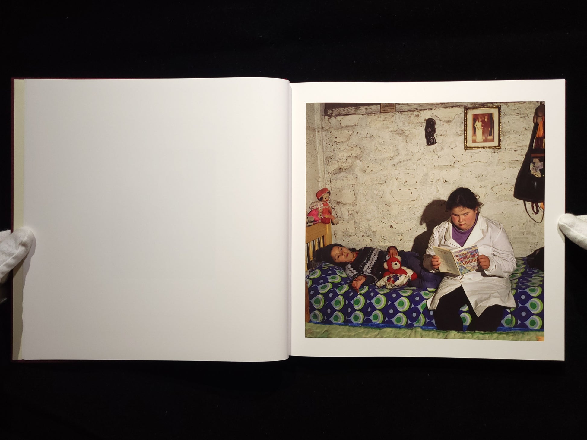 The Adventures of Guille and Belinda and The Enigmatic Meaning of Their Dreams / Alessandra Sanguinetti